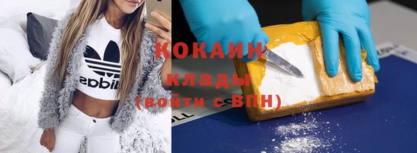 ПСИЛОЦИБИНОВЫЕ ГРИБЫ Тавда