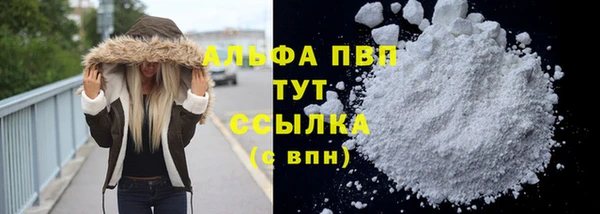 дживик Бородино