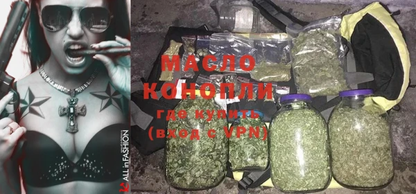 дживик Бородино