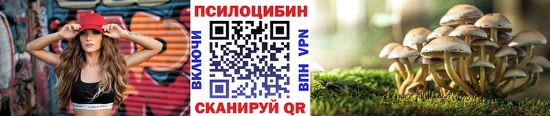Галлюциногенные грибы Psilocybe  купить наркоту  Кизляр 